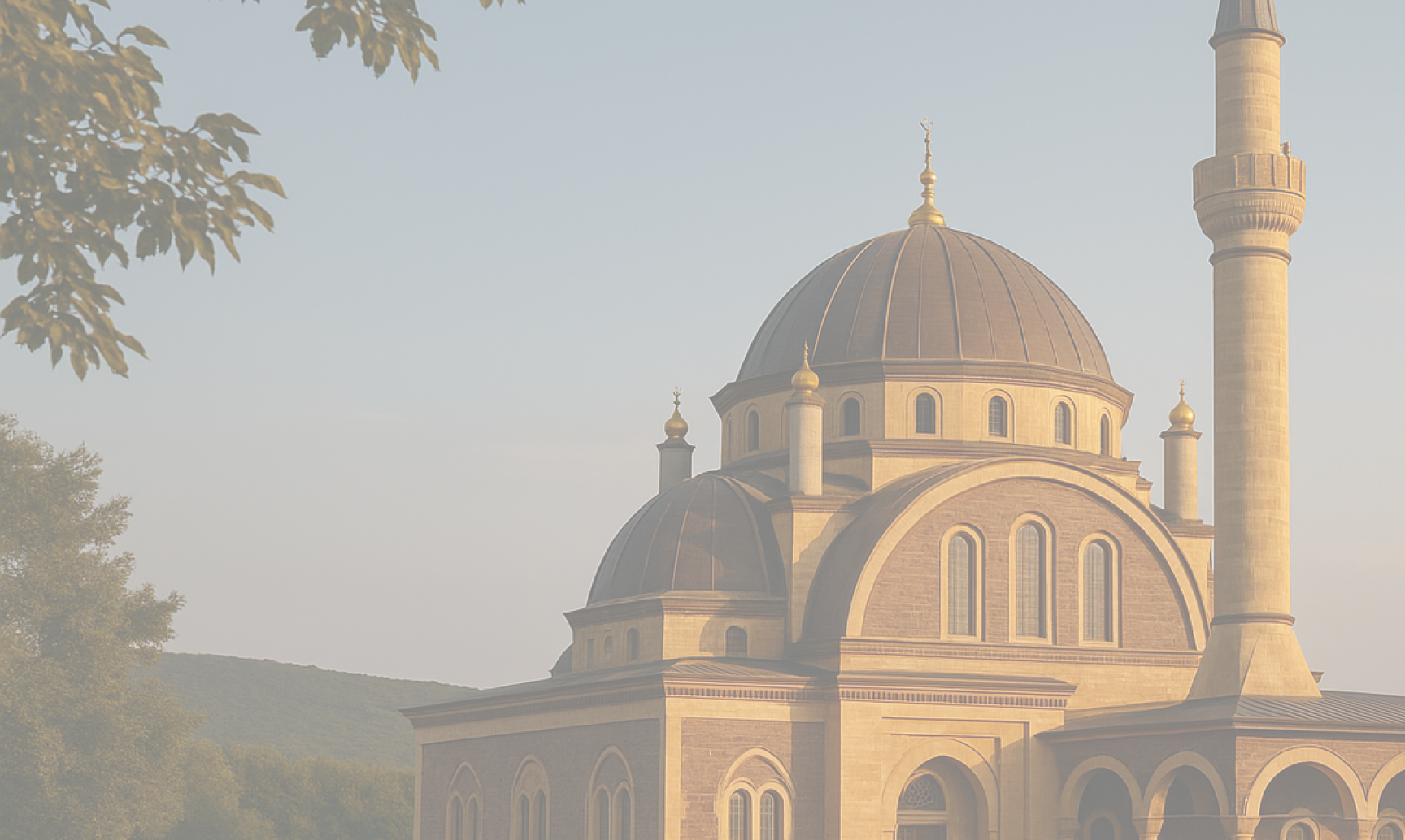 Mahmut Efendi Camii Şerifi
